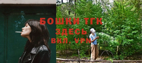 тгк Арсеньев