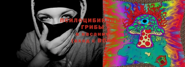 тгк Арсеньев