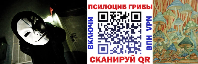 магазин  наркотиков  Салехард  Псилоцибиновые грибы ЛСД 