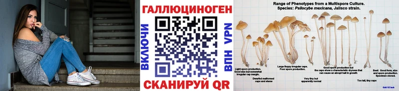 Псилоцибиновые грибы GOLDEN TEACHER Салехард
